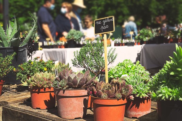Comment exposer pour le salon de l'environnement à Angers?