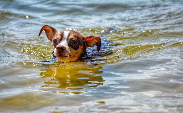 Quelles clés pour débuter en tant qu'artiste peintre ?
